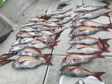 遊漁船メテオ 釣果