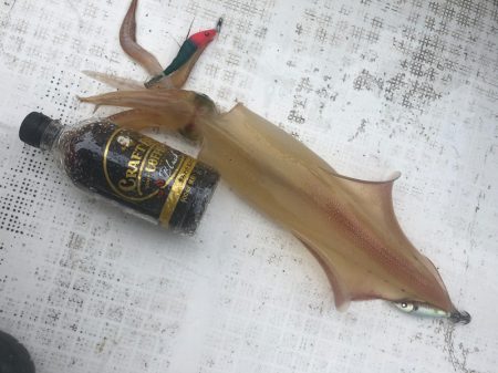 「LaGooN」蒼陽丸 日和号 釣果