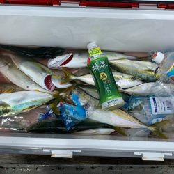 みやけ丸 釣果