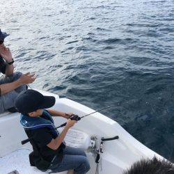 「LaGooN」蒼陽丸 日和号 釣果