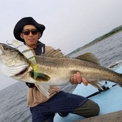 アマテラス 釣果