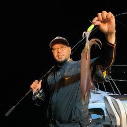 アマテラス 釣果