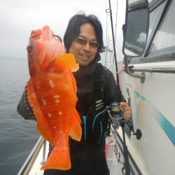 きずなまりん 釣果