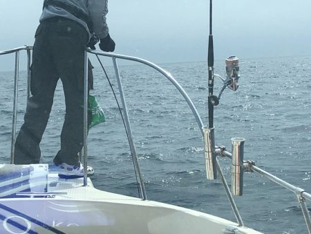 海友丸 釣果