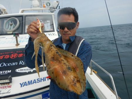 きずなまりん 釣果