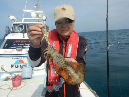 きずなまりん 釣果