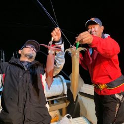 アマテラス 釣果