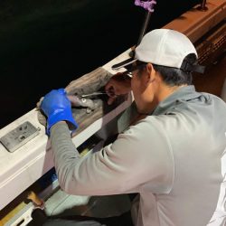 アマテラス 釣果