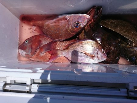 新幸丸 釣果