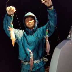 アマテラス 釣果