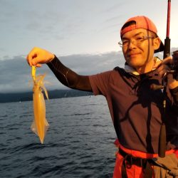 アマテラス 釣果