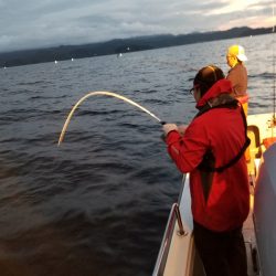 アマテラス 釣果