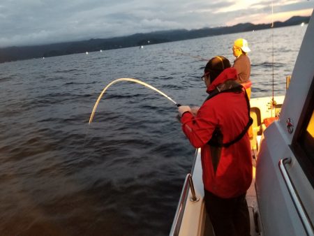 アマテラス 釣果