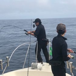 海友丸 釣果