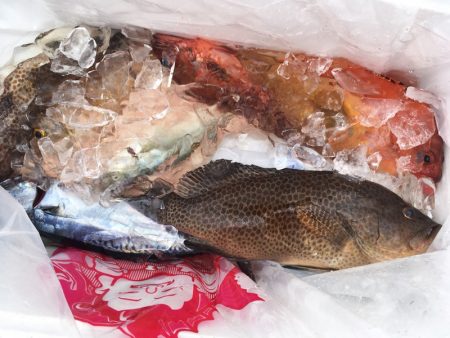 渡船屋たにぐち 釣果