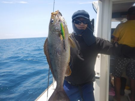 きずなまりん 釣果
