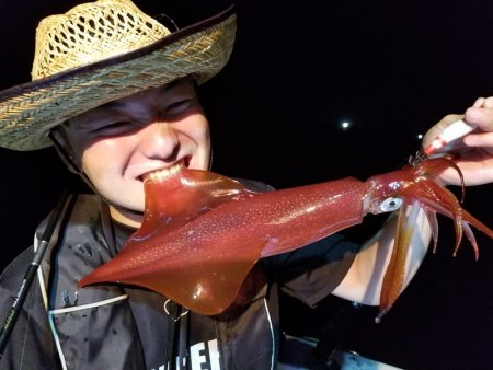 アマテラス 釣果