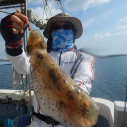 きずなまりん 釣果