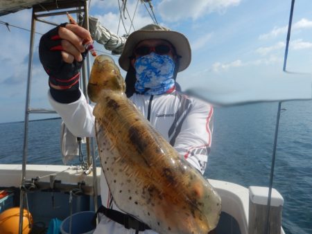 きずなまりん 釣果