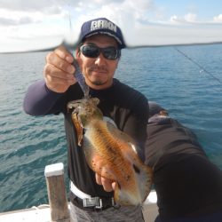 きずなまりん 釣果