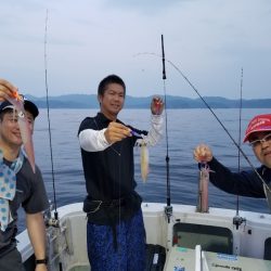 アマテラス 釣果