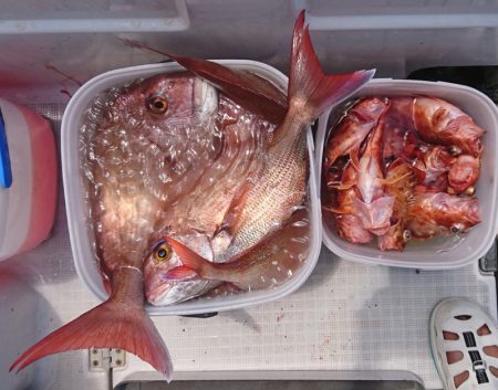 遊漁船 家入 釣果
