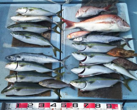 清和丸 釣果