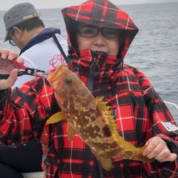 「LaGooN」蒼陽丸 日和号　 釣果