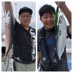 ビッグファイター 釣果