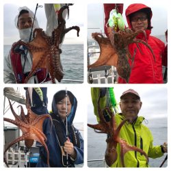 ビッグファイター 釣果