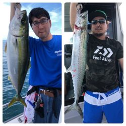 ビッグファイター 釣果