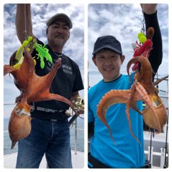 ビッグファイター 釣果