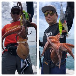 ビッグファイター 釣果