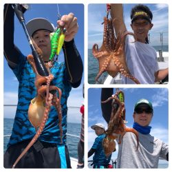 ビッグファイター 釣果