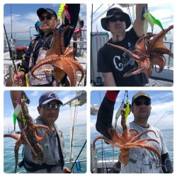 ビッグファイター 釣果