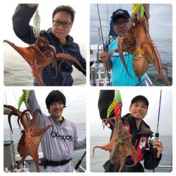 ビッグファイター 釣果