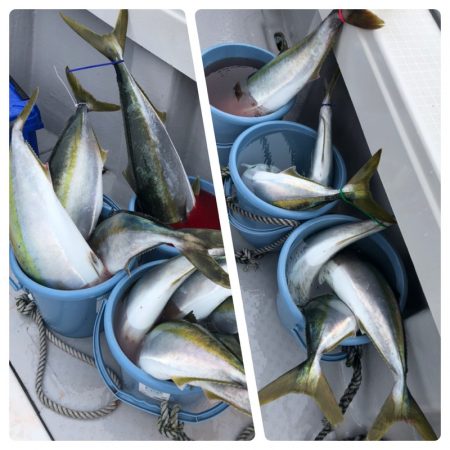 ビッグファイター 釣果