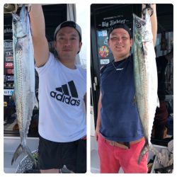 ビッグファイター 釣果