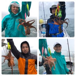 ビッグファイター 釣果