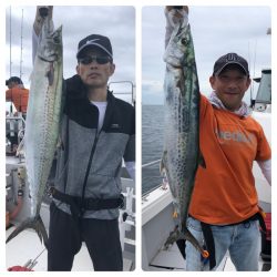 ビッグファイター 釣果