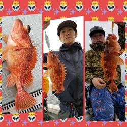 アマテラス 釣果