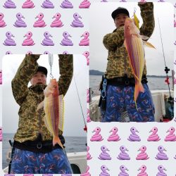 アマテラス 釣果