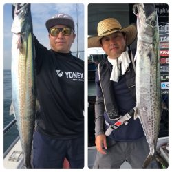 ビッグファイター 釣果