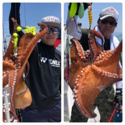 ビッグファイター 釣果