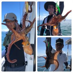 ビッグファイター 釣果