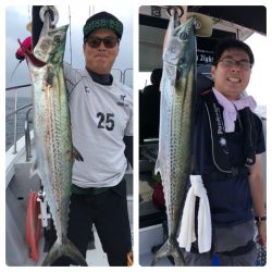 ビッグファイター 釣果