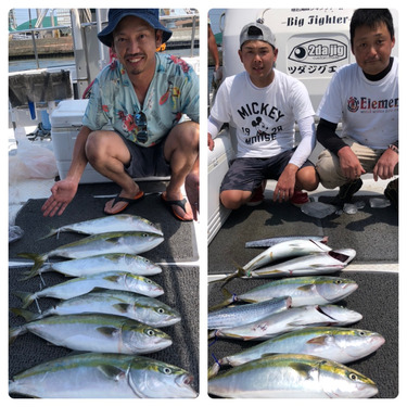 ビッグファイター 釣果