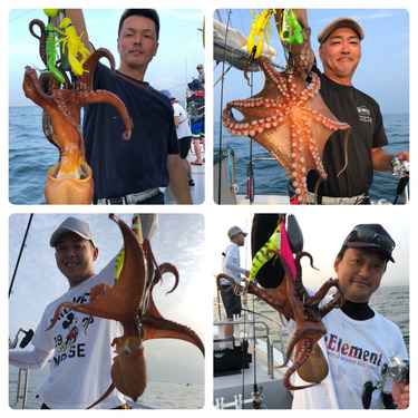 ビッグファイター 釣果