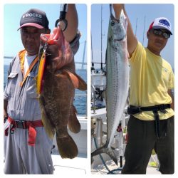 ビッグファイター 釣果