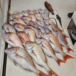 マリンガイド福丸 釣果